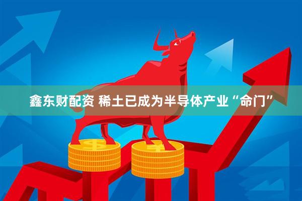 鑫东财配资 稀土已成为半导体产业“命门”