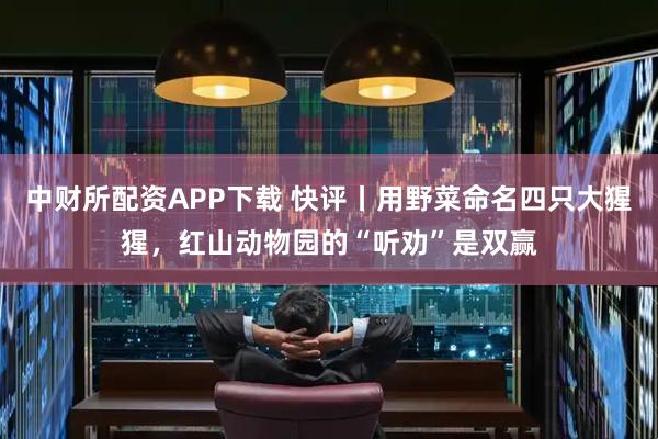 中财所配资APP下载 快评丨用野菜命名四只大猩猩，红山动物园的“听劝”是双赢