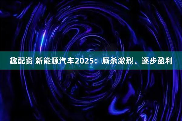 趣配资 新能源汽车2025：厮杀激烈、逐步盈利