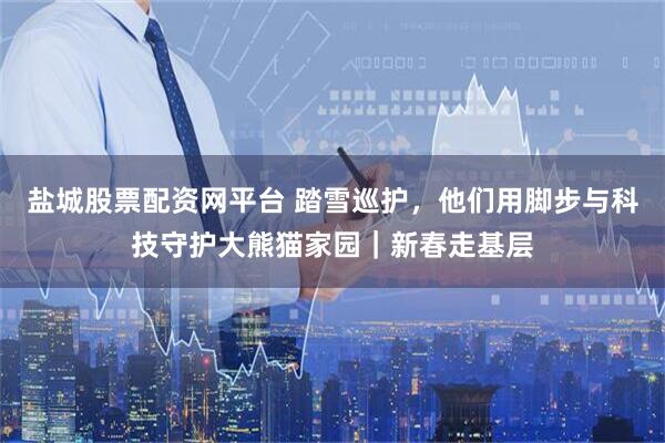 盐城股票配资网平台 踏雪巡护，他们用脚步与科技守护大熊猫家园｜新春走基层